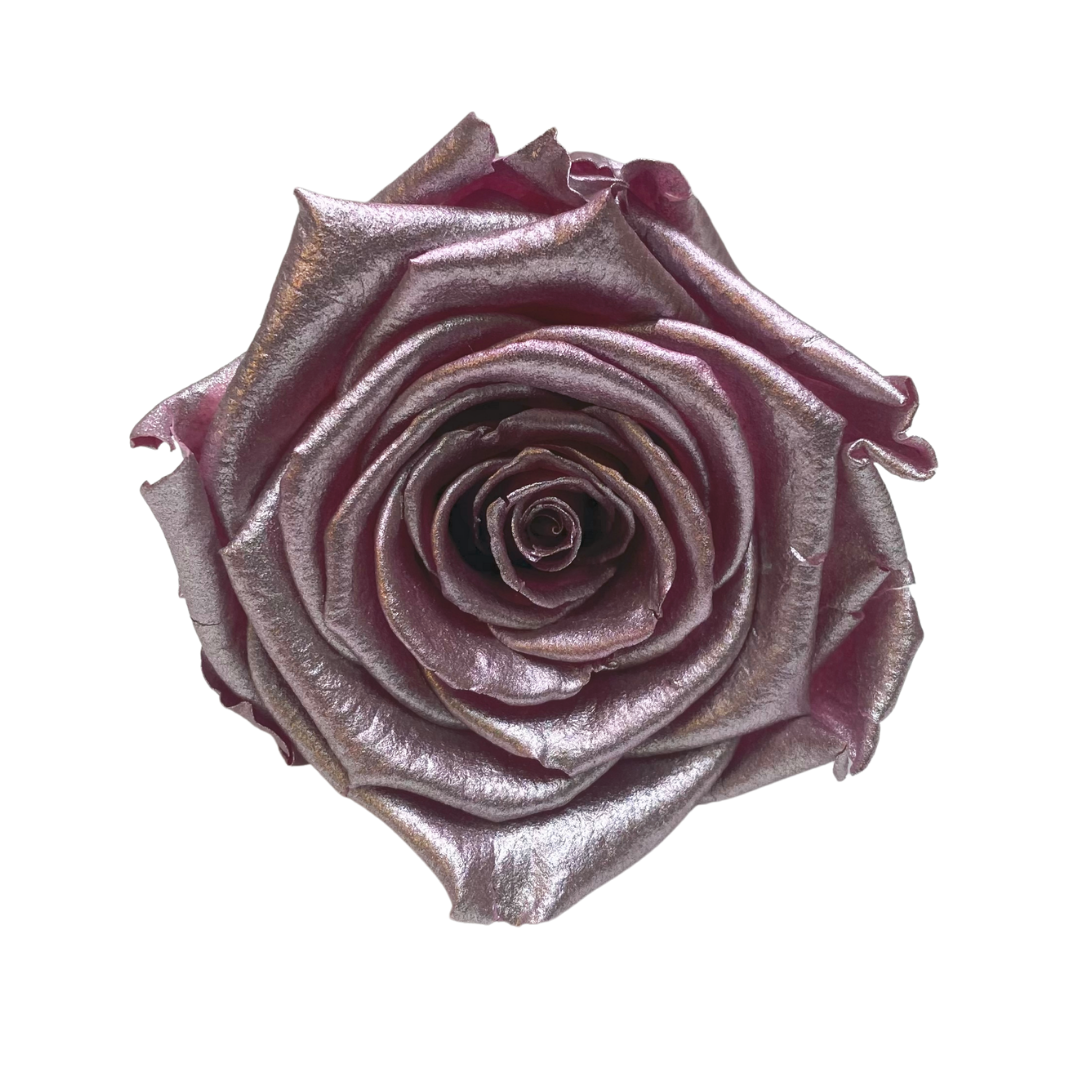 Bling Blooms | Infinity Roses | Special order colours | One Year roses 