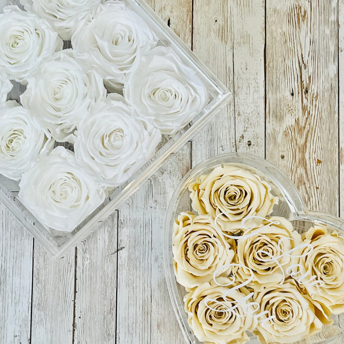 white infinity roses | Champagne one year roses