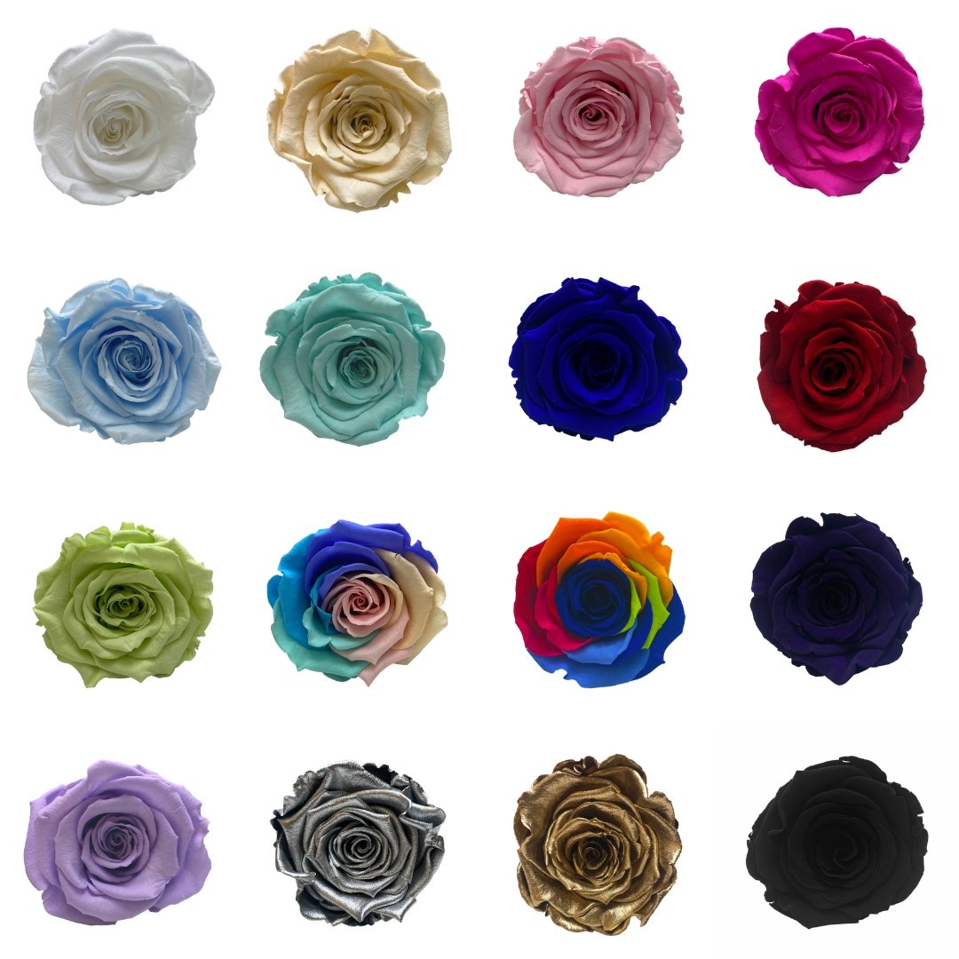 Rose Colour Meanings - Infinity Roses