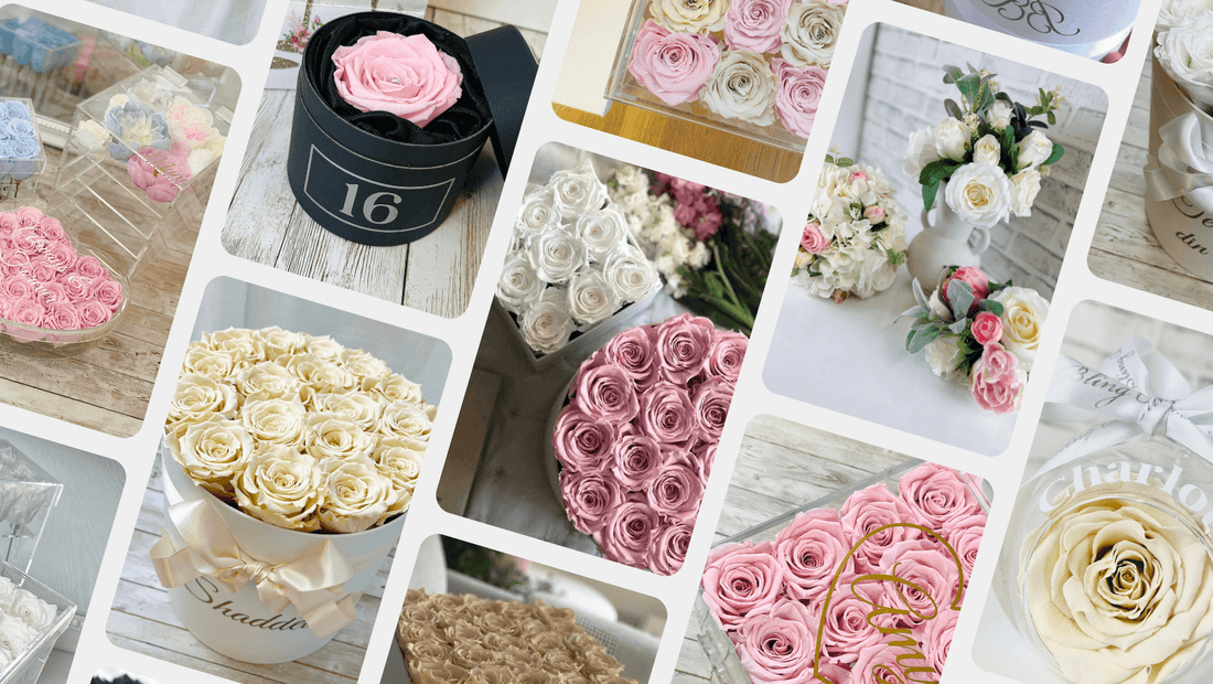 Rose Colours for springtime blog cover