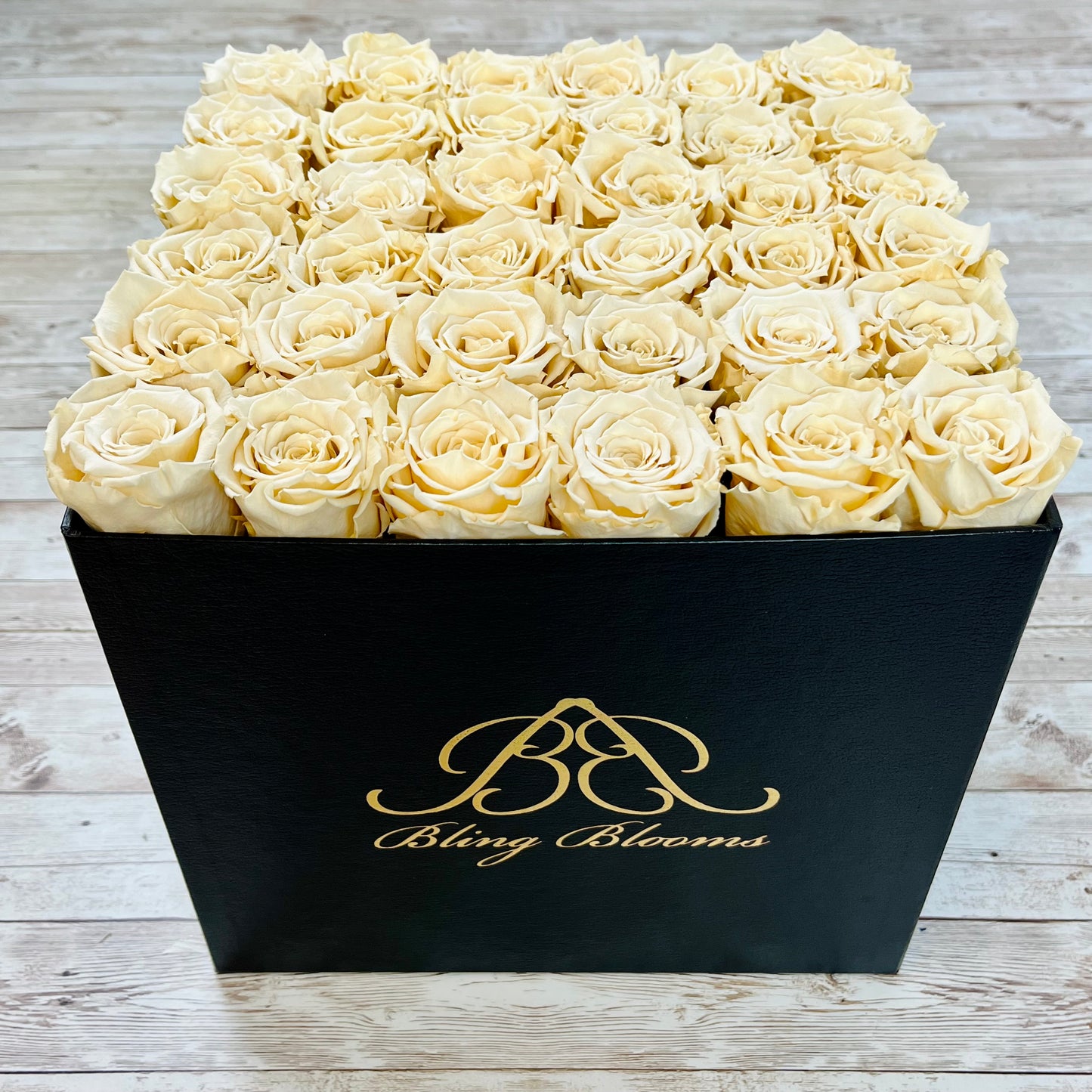Black Square Bloom Box - Infinity Roses - Champagne One Year Roses - Box of Roses - Rose Colours divider-Vintage Champagne