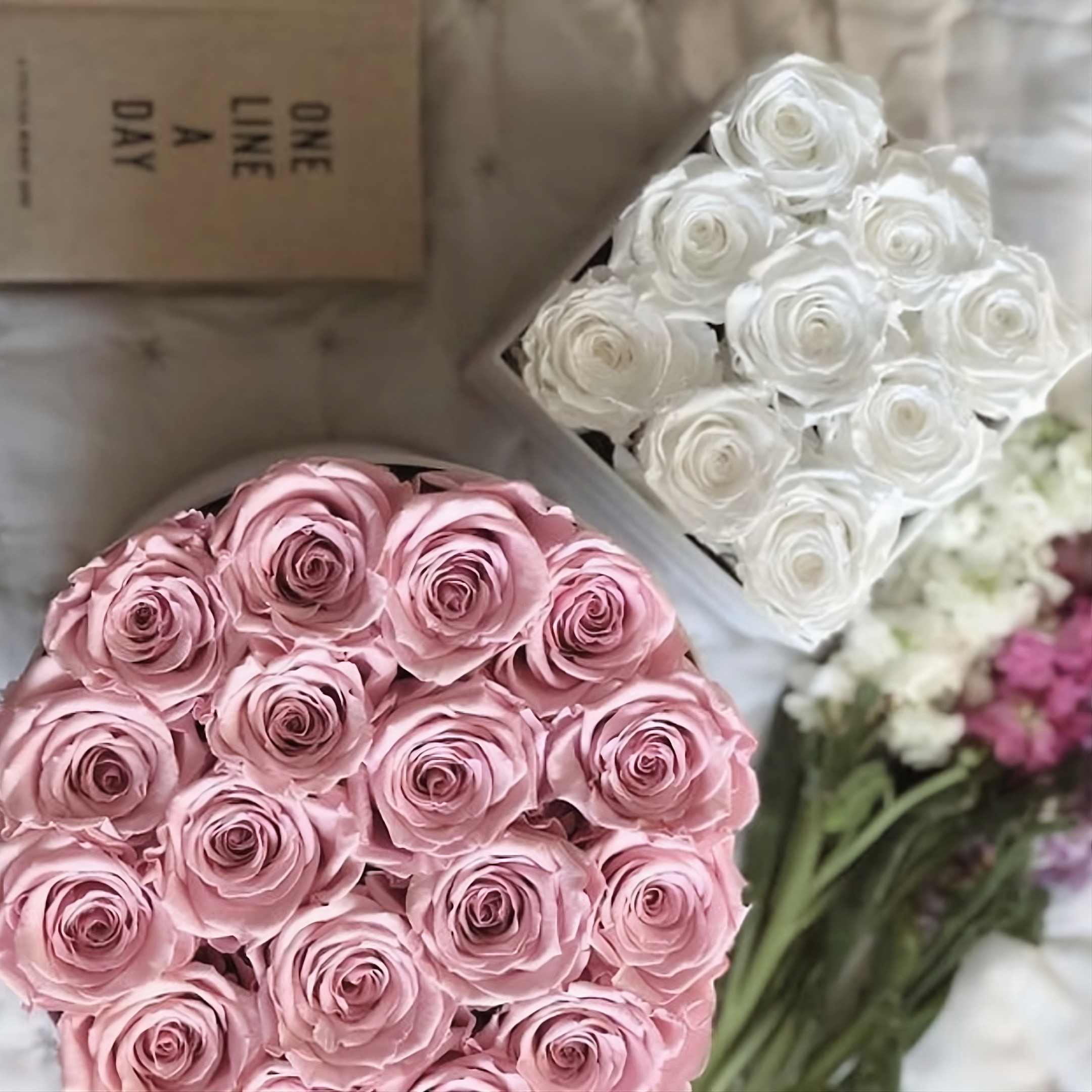 Infinity Roses | Pink and White Forever Roses | Eternal Roses in a Box | Bling Blooms