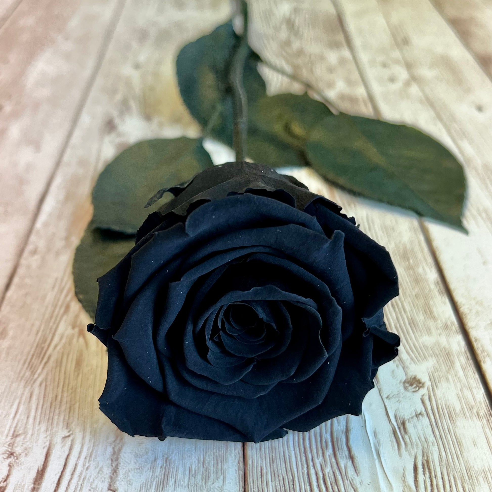 Long Stem Infinity Rose - Black Single Forever Rose - Personalised Box - Rose Colours divider-Midnight Black