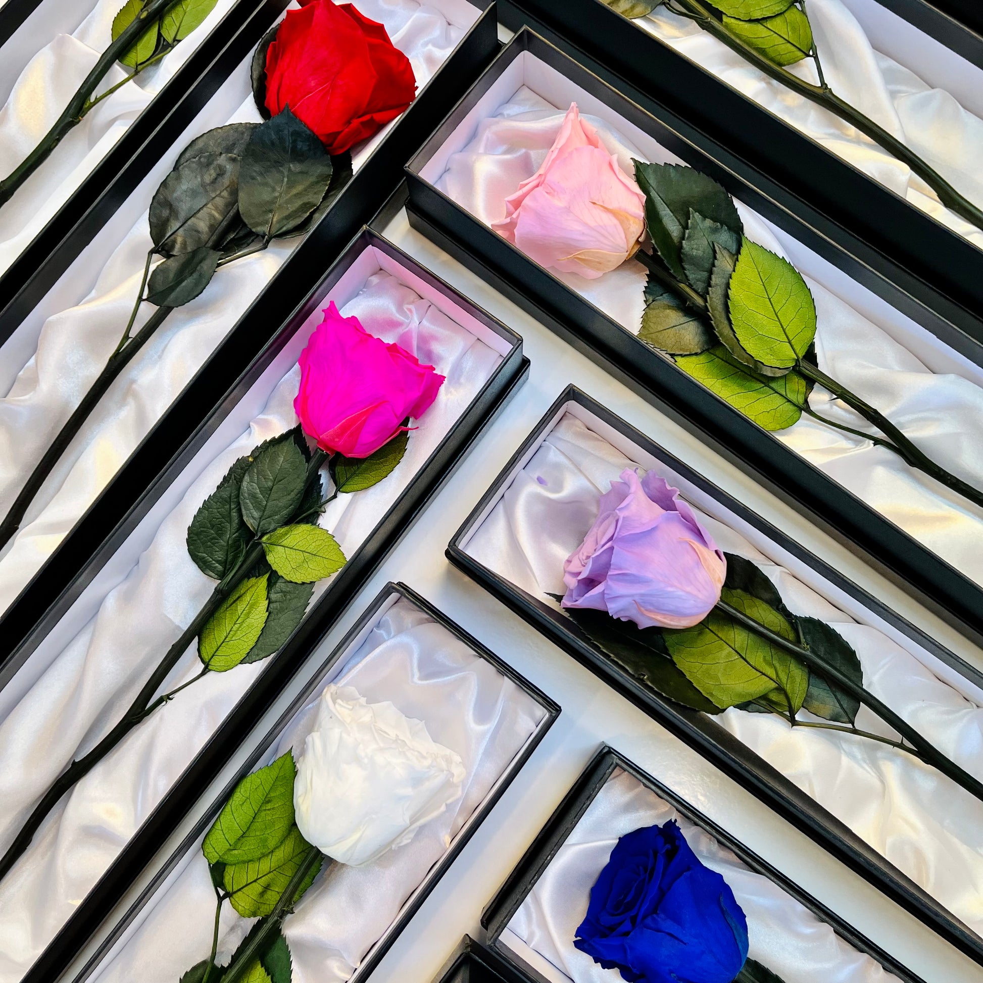 Long Stem Infinity Roses | Single Forever Rose | Bling Blooms