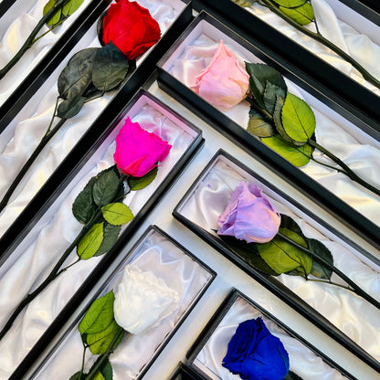 Long Stem Infinity Roses | Single Forever Rose | Bling Blooms