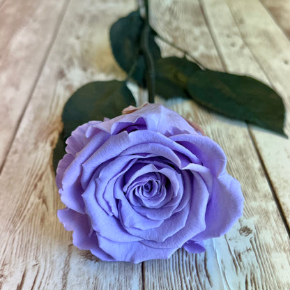 Long Stem Infinity Rose - Lavender Single Forever Rose - Personalised Box - Rose Colours divider-Lavender Haze