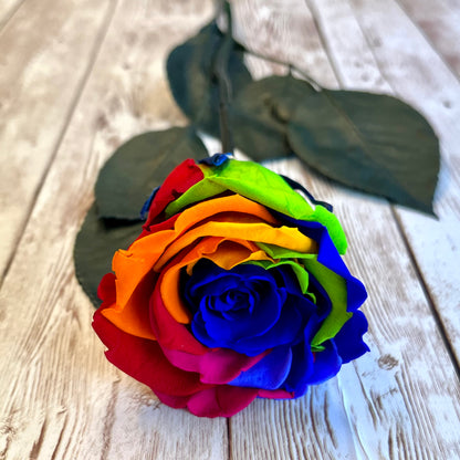 Long Stem Infinity Rose -Rainbow Single Forever Rose - Personalised Box - Rose Colours divider-Carnival Rainbow