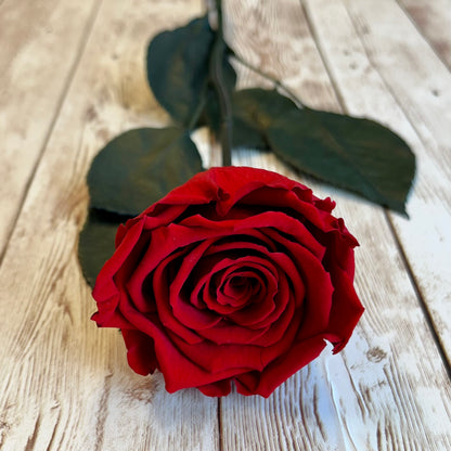 Long Stem Infinity Rose - Red Single Forever Rose - Personalised Box - Rose Colours divider-Ruby Red