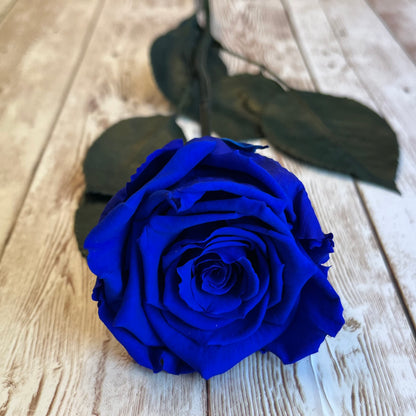 Long Stem Infinity Rose - Blue Single Forever Rose - Personalised Box - Rose Colours divider-Sapphire Blue
