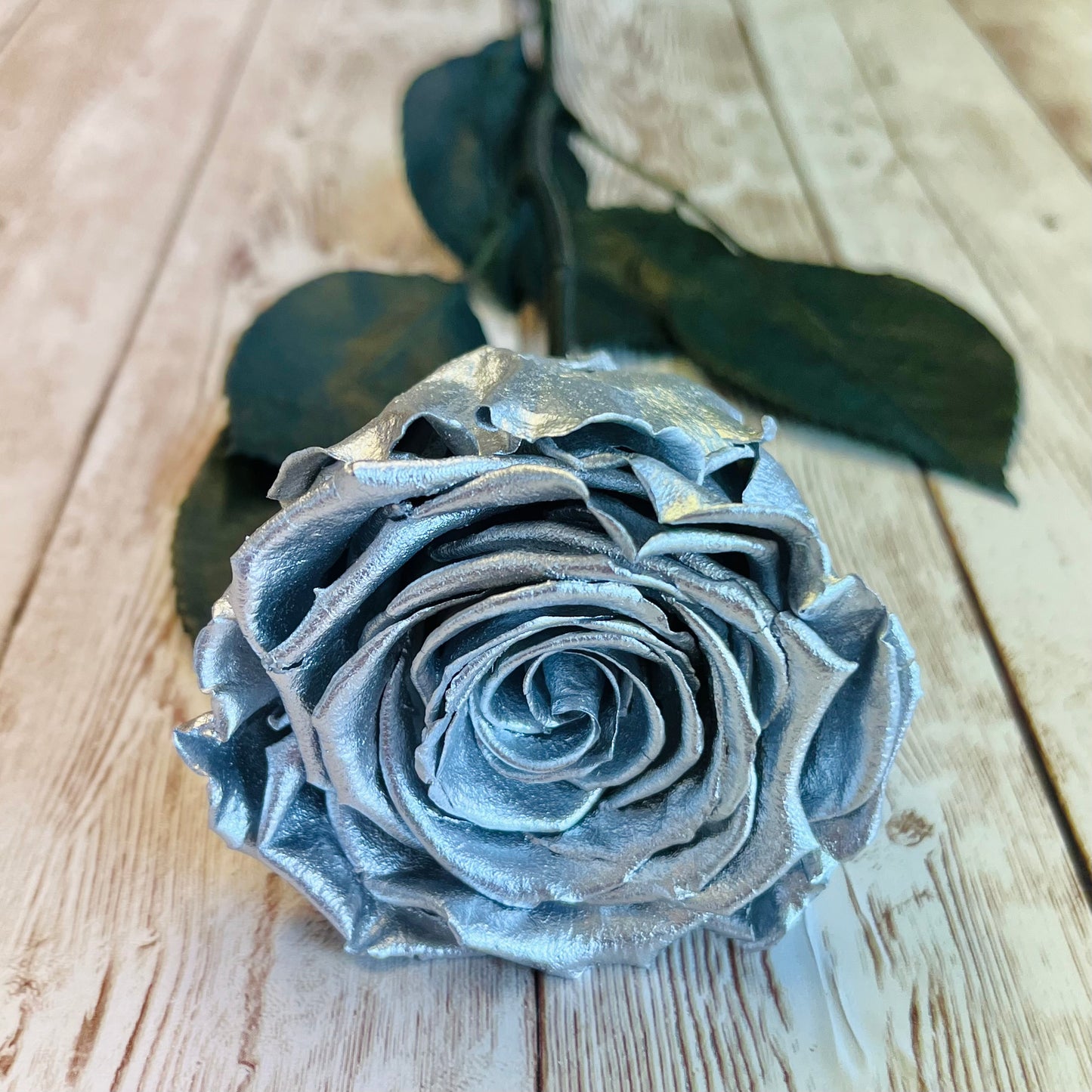 Long Stem Infinity Rose - Silver Eternal Roses - Forever Roses - Single Boxed Rose - Rose Colours divider-Silver Sensation