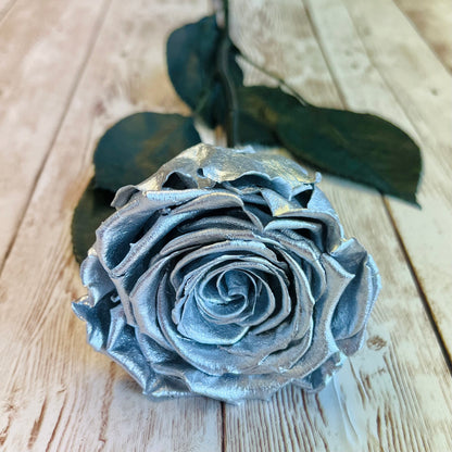 Long Stem Infinity Rose - Silver Eternal Roses - Forever Roses - Single Boxed Rose - Rose Colours divider-Silver Sensation