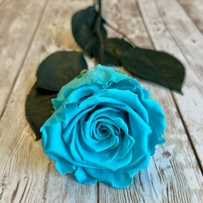 Long Stem Infinity Rose - Tiffany Blue Infinity Roses - One Year Rose - Single Boxed Rose - Rose Colours divider-Tiffany Blue
