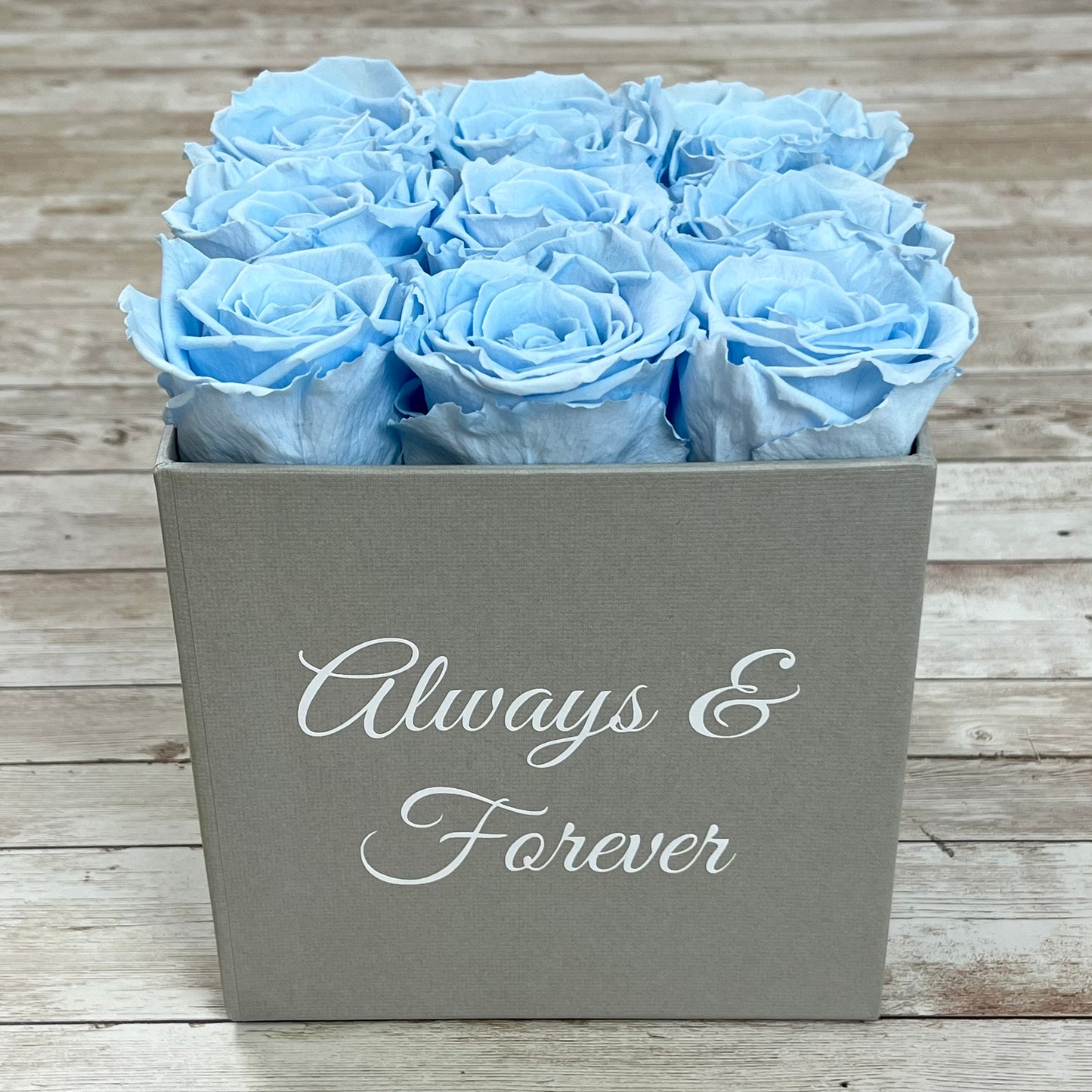 Grey Square Infinity Rose Box - Infinity Roses - Baby Blue One Year Roses - Rose Colours divider-Baby Blue