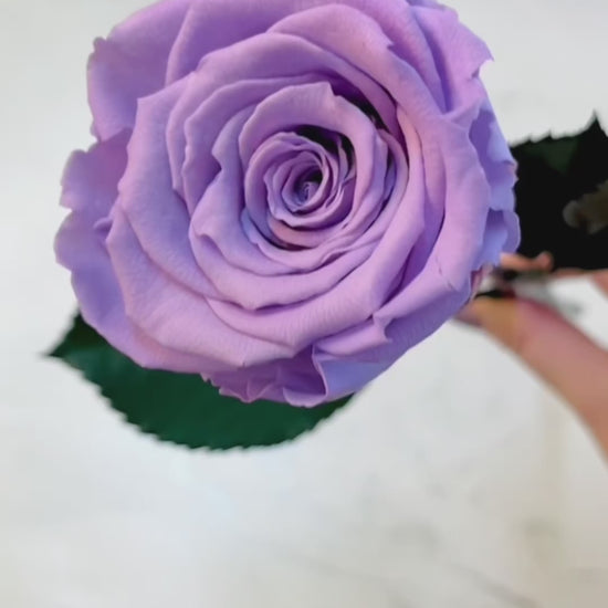 Long Stem Infinity Rose | Forever Rose | Personalised Gift Box | Bling Blooms