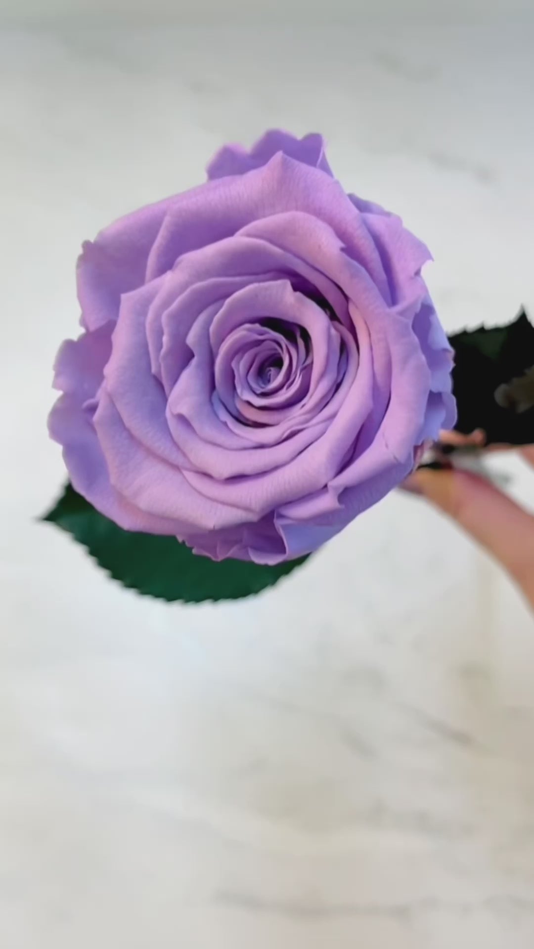 Long Stem Infinity Rose | Forever Rose | Personalised Gift Box | Bling Blooms