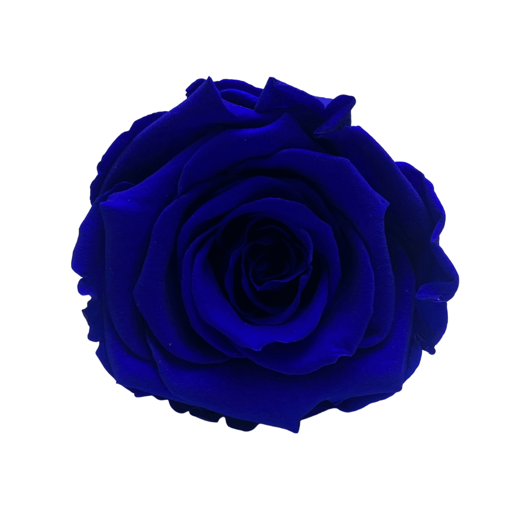 Infinity Rose Dome - Blue Forever Roses - Eternal Roses - Bling Blooms - Rose Colours divider-Sapphire Blue
