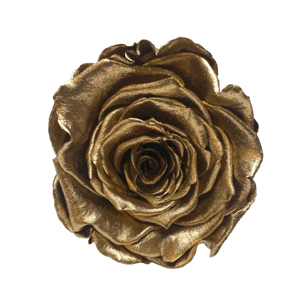Infinity Roses - Large Classic Black Box - Forever Roses- Rose Colours divider-Glamorous Gold