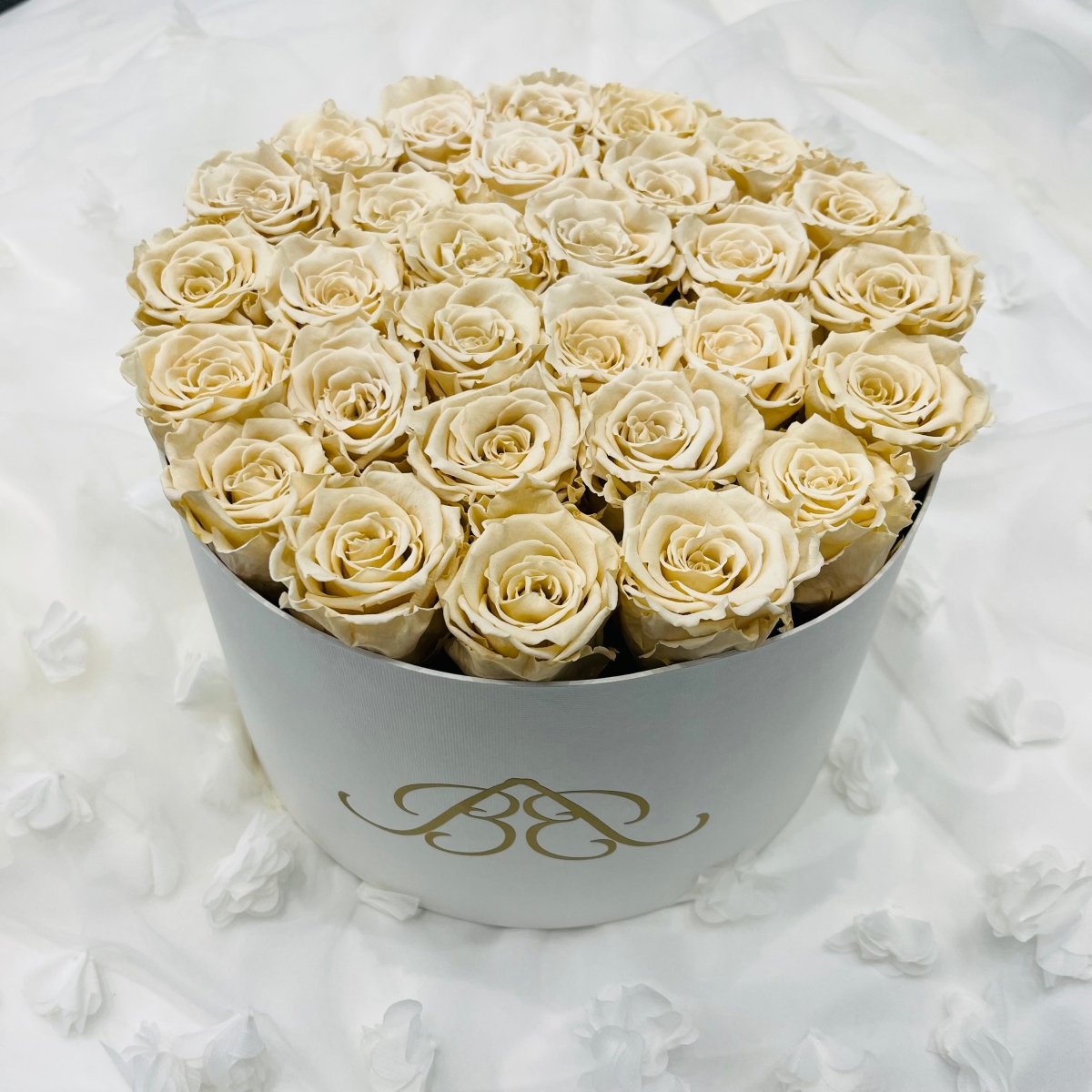  Extra Large Round Infinity Rose Box - Champagne Infinity Roses - One Year Roses - Rose Colours divider-Vintage Champagne