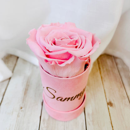 Infinity Rose Mini Suede Box- Infinity Roses - Pink One Year Roses - Single Rose Gift - Pink Infinity Roses - One Year Roses - Rose Colours divider-Petal Pink