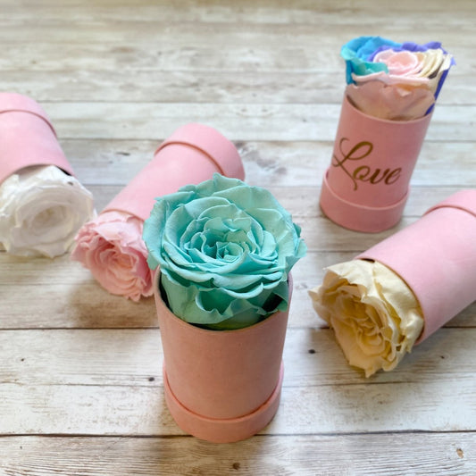 Infinity Rose Mini Suede Box - Infinity Roses - Variety of One Year Roses - Single Rose Gift
