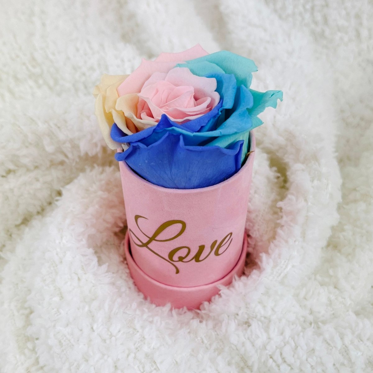 Infinity Rose Mini Suede Box- Infinity Roses - Rainbow One Year Roses - Single Rose - Rose Colours divider-Pastel Rainbow