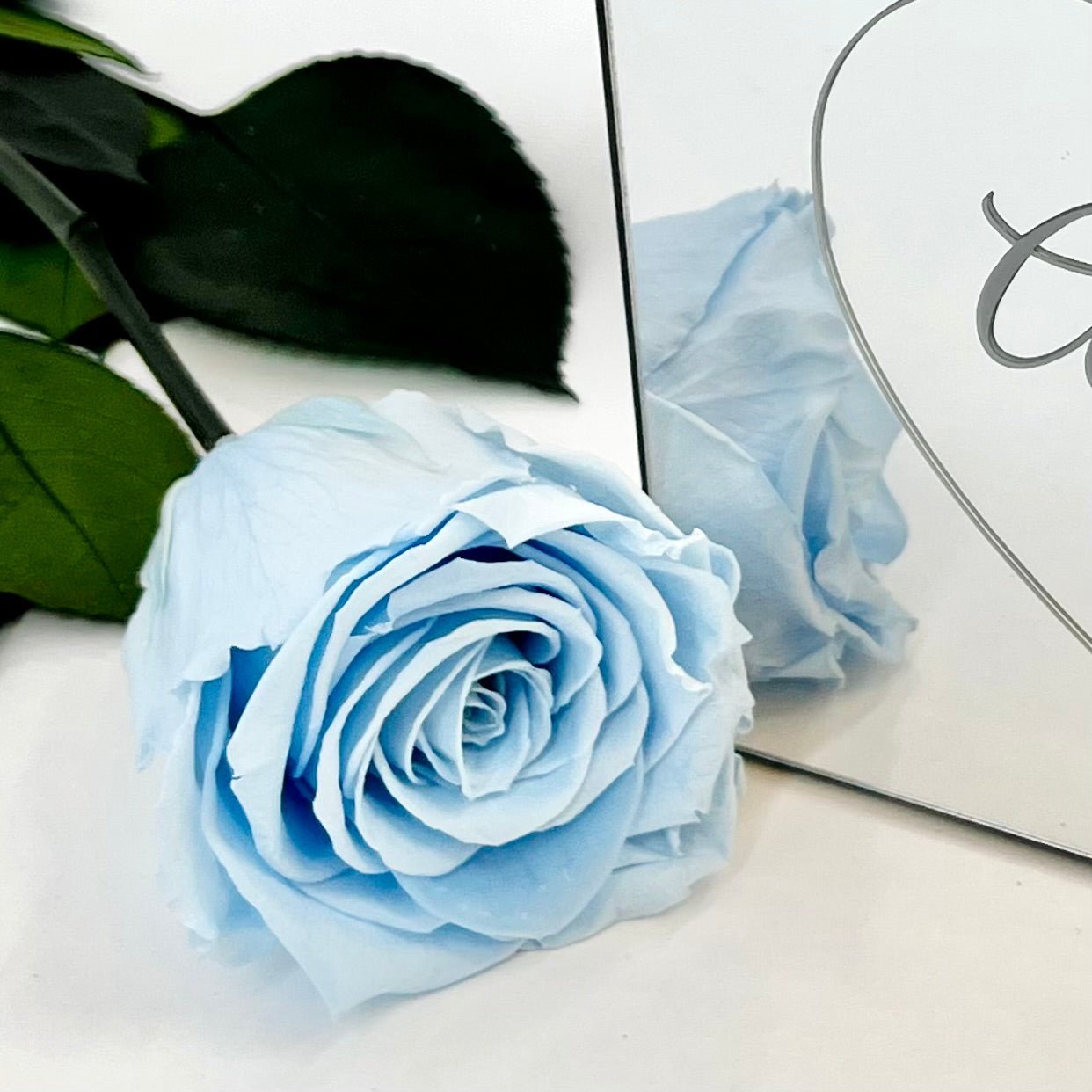 Long Stem Infinity Rose - Blue Infinity Roses - One Year Roses - Single Boxed Rose 