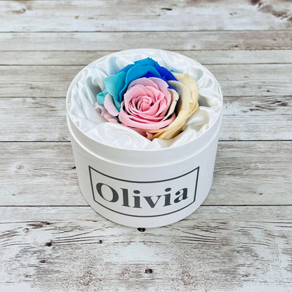 Personalised Mini Rose Hatbox - Single Pastel Rainbow Infinity Rose - One Year Roses - Rose Colours divider-Pastel Rainbow