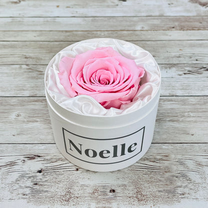 Personalised Mini Rose Hatbox - Single Pink Infinity Rose - One Year Roses  - Rose Colours divider-Petal Pink