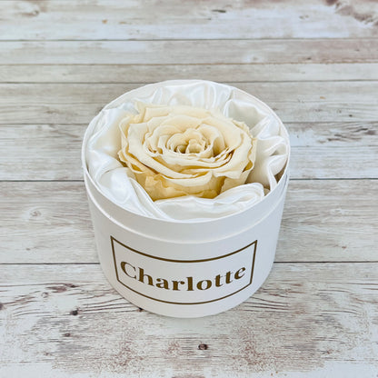Personalised Mini Rose Hatbox - Single Champagne Infinity Rose - One Year Roses - Rose Colours divider-Vintage Champagne