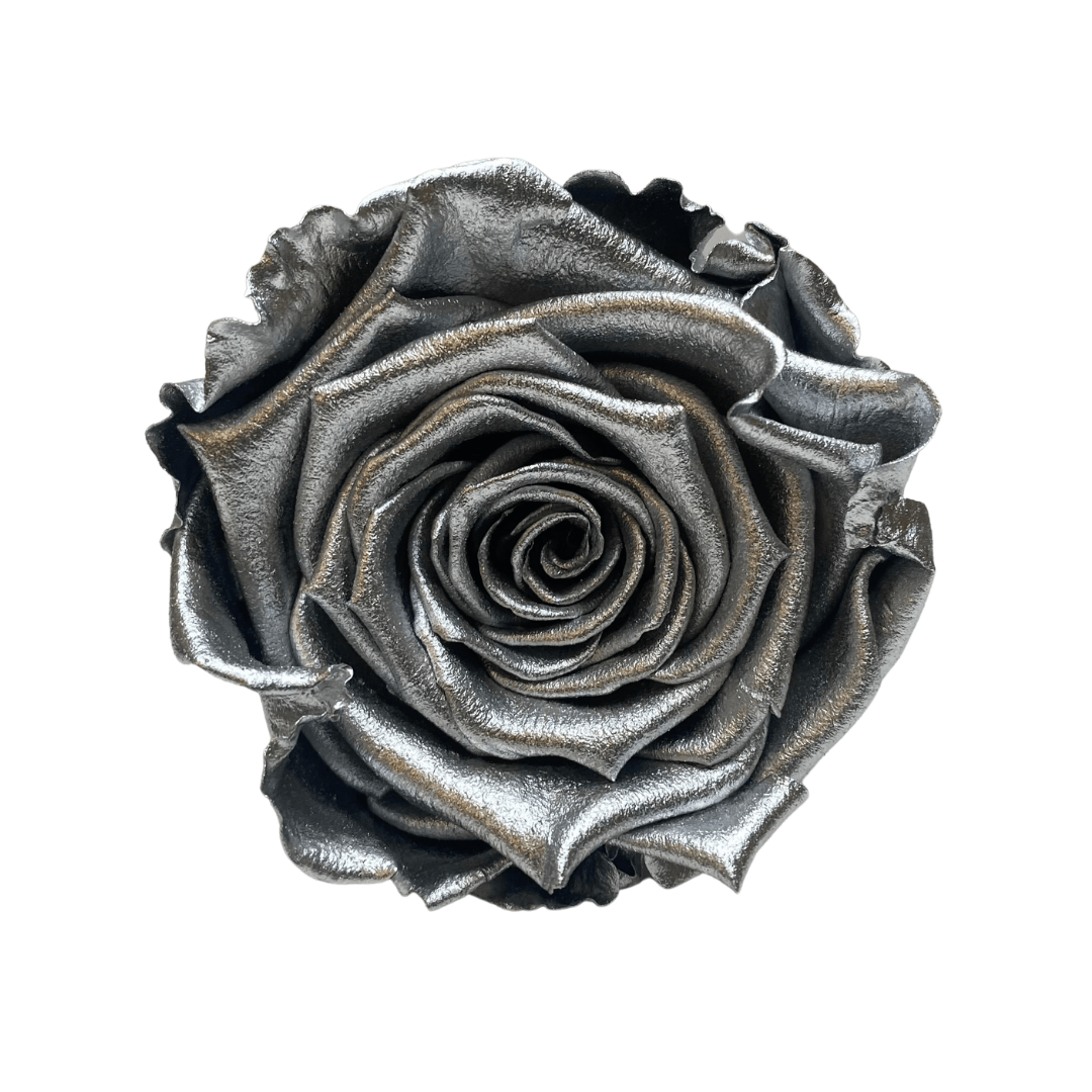 Infinity Roses - Large Classic Black Box - One Year Roses - Rose Colours divider-Silver Sensation