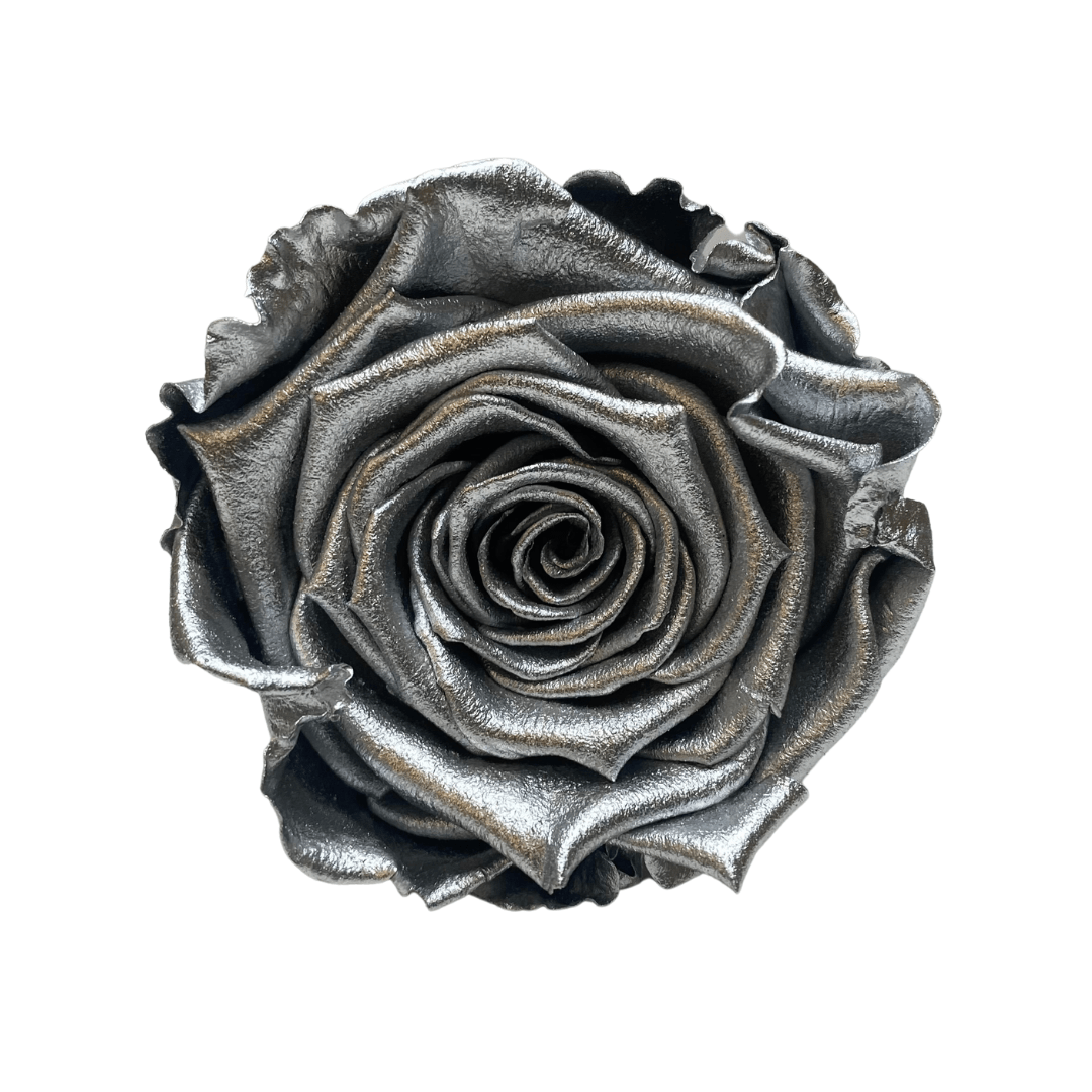 Infinity Roses - Large Classic Black Box - Forever Roses - Rose Colours divider-Silver Sensation
