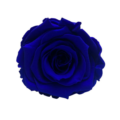 Blue Infinity Roses - Eternal Roses - Forever Roses Makeup Organiser One Year Roses - Rose Colours divider-Sapphire Blue