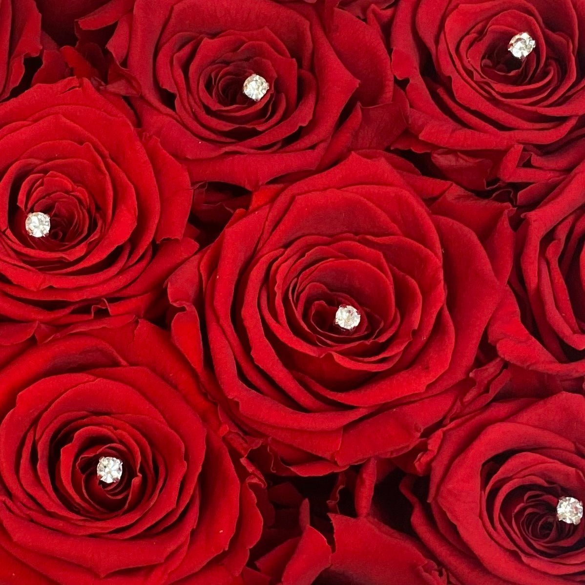 Diamanté <6 - Diamanté Option - Silver Diamanté - Red One Year Roses