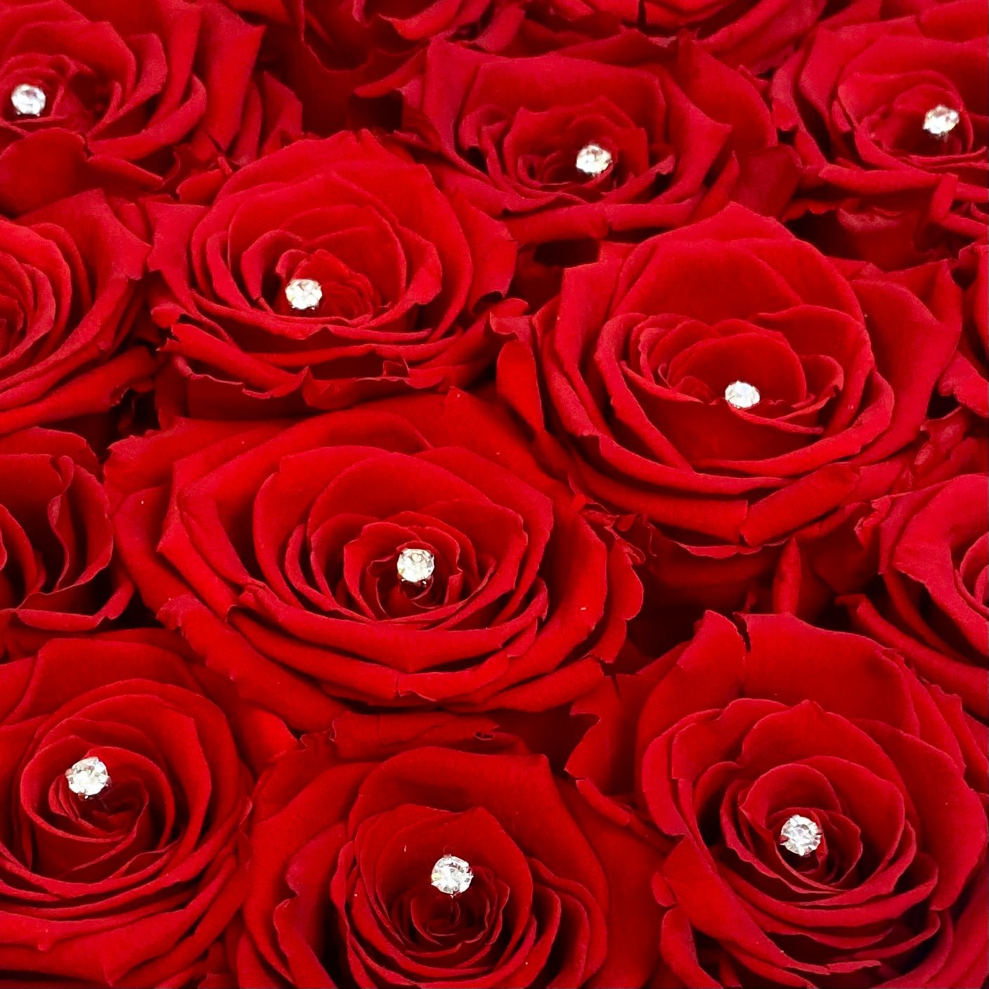 Diamanté - Diamanté Option - One Year Roses - Red Infinity Roses