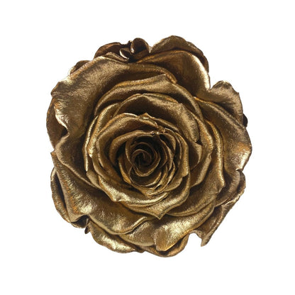 Gold Infinity Roses - One Year Roses - Rose Colours divider-Glamorous Gold