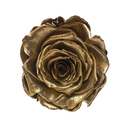 Gold Infinity Roses - Forever Roses Box - Rose Colours divider-Glamorous Gold