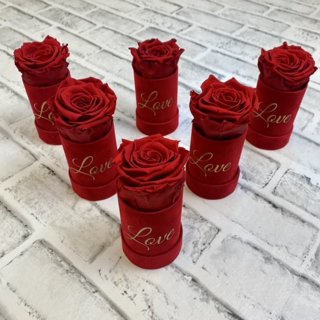 Luxe Love Mini Suede - Red Infinity Roses - One Year Roses - Single Rose