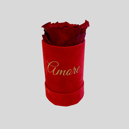 Infinity Rose Mini Suede Box - Red Infinity Roses - One Year Roses - Single Rose Gift - Rose Colours divider-Ruby Red