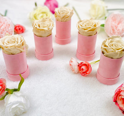 Group of Infinity Rose Mini Suede Boxes - Cream Infinity Roses - One Year Roses - Single Rose Gift