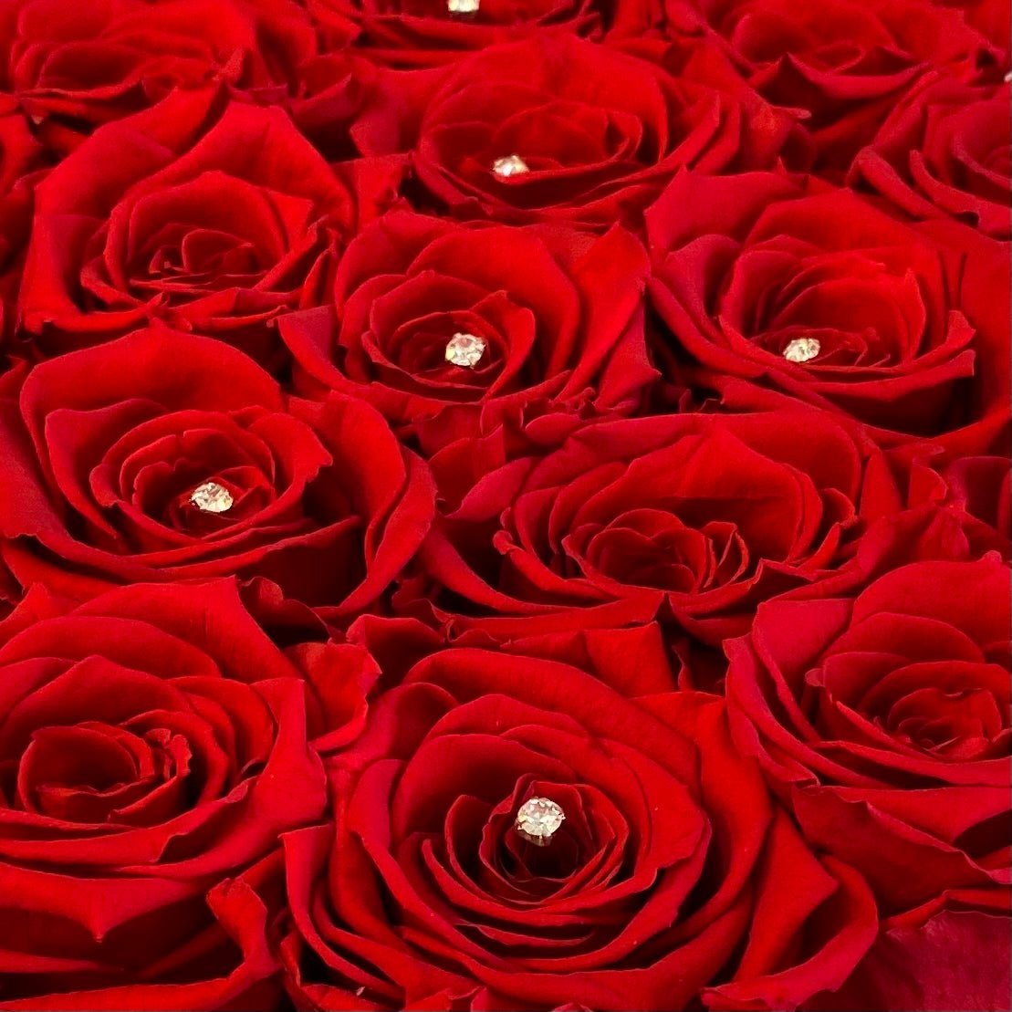 Scattered Diamanté Option - Infinity Roses