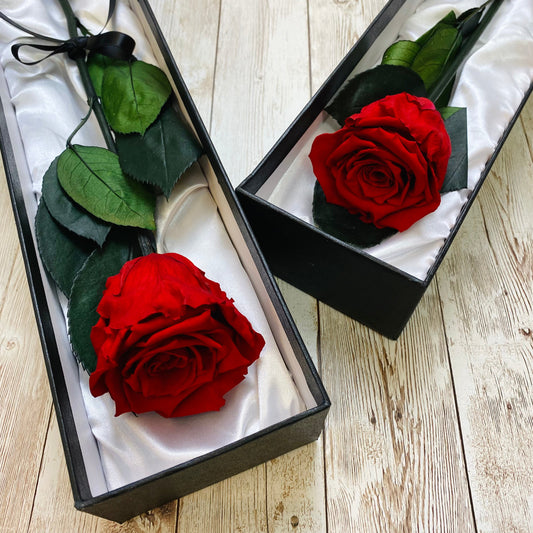 Long Stem Infinity Rose - Red Infinity Roses - One Year Roses - Single Boxed Rose - Two Red Roses