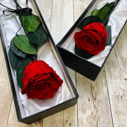 Long Stem Infinity Rose - Red Eternal Roses - Forever Roses - Single Boxed Rose 